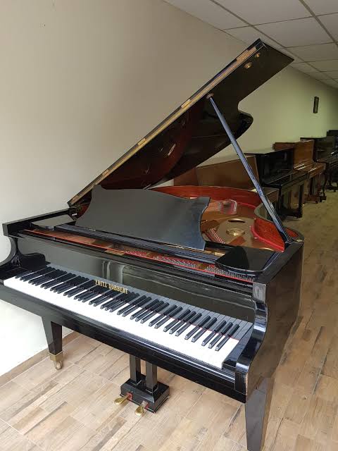PIANO 1:2 CAUDA MARCA BECHSTEIN MOD B ALEMÃO 3