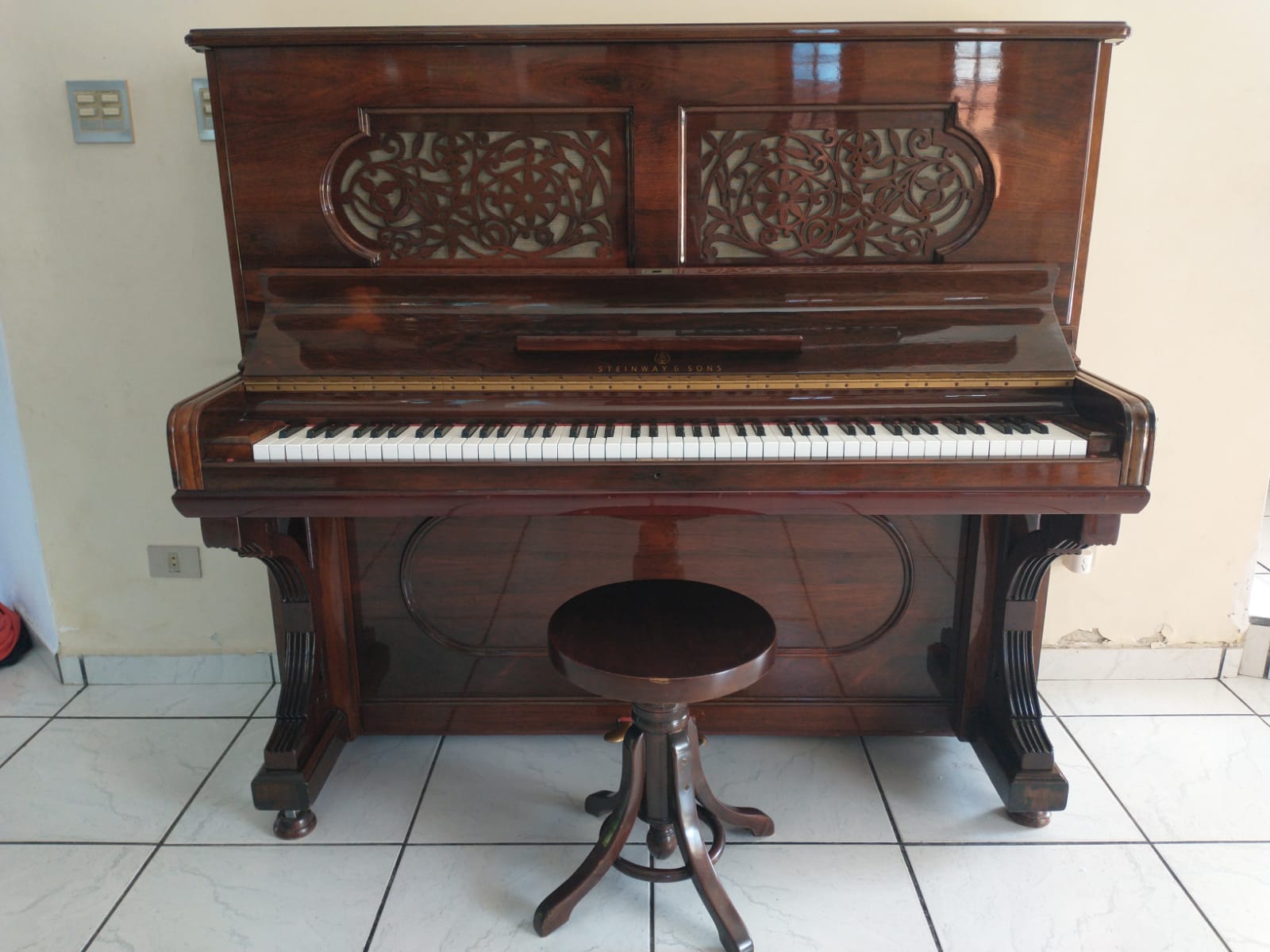 PIANO STEINWAY & SONS TODO JACARANDÁ DA BAHIA 6